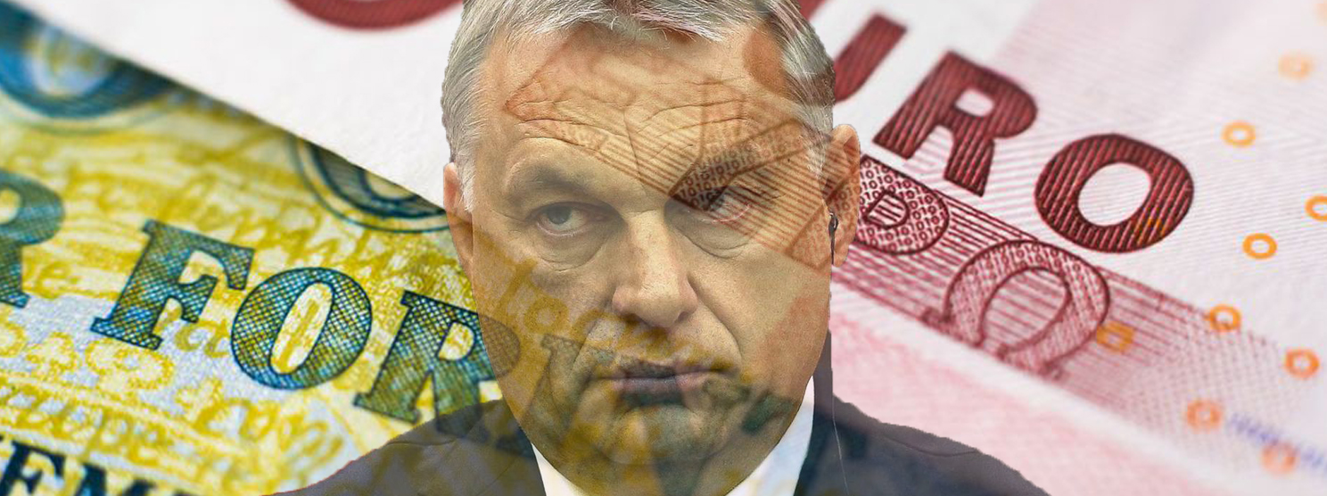 Hungarians want the Euro!